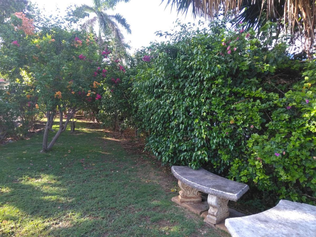 Apartament Irresistible View-Mobay Club 1408 Montego Bay Zewnętrze zdjęcie