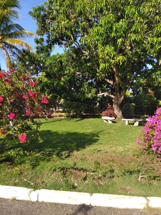Apartament Irresistible View-Mobay Club 1408 Montego Bay Zewnętrze zdjęcie